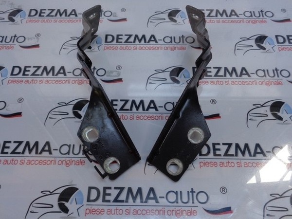 Set balamale capota fata, Renault Megane 2