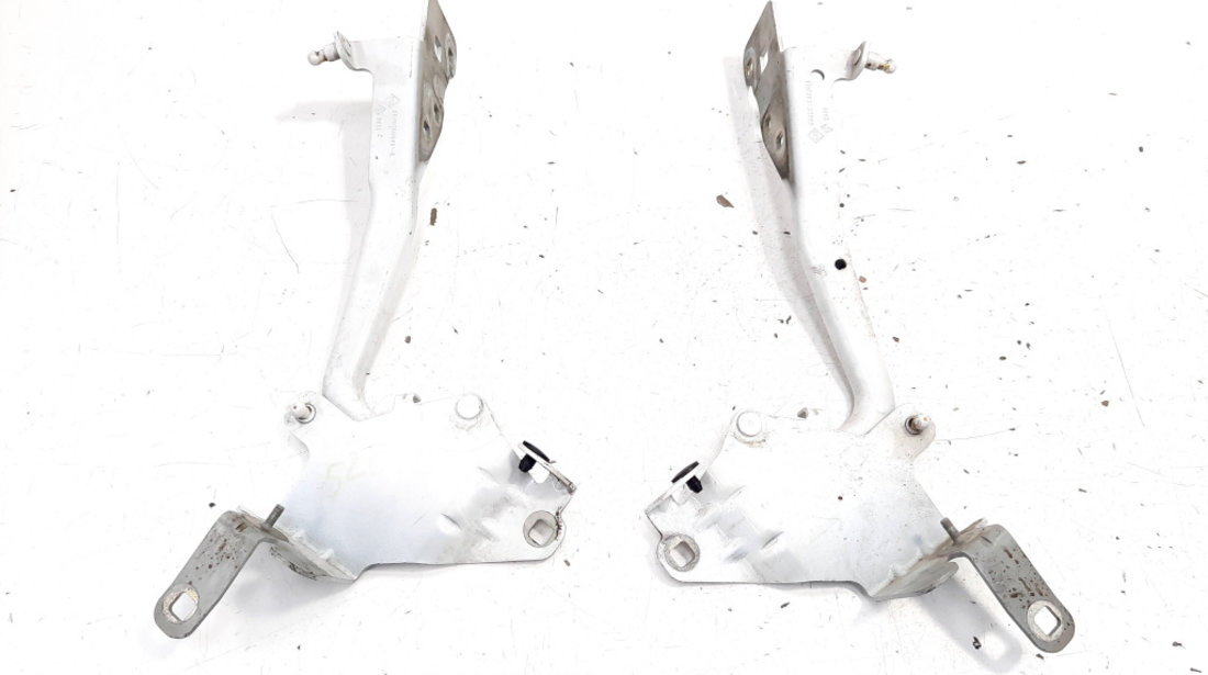 Set balamale capota fata, Renault Scenic 3 (idi:525812)