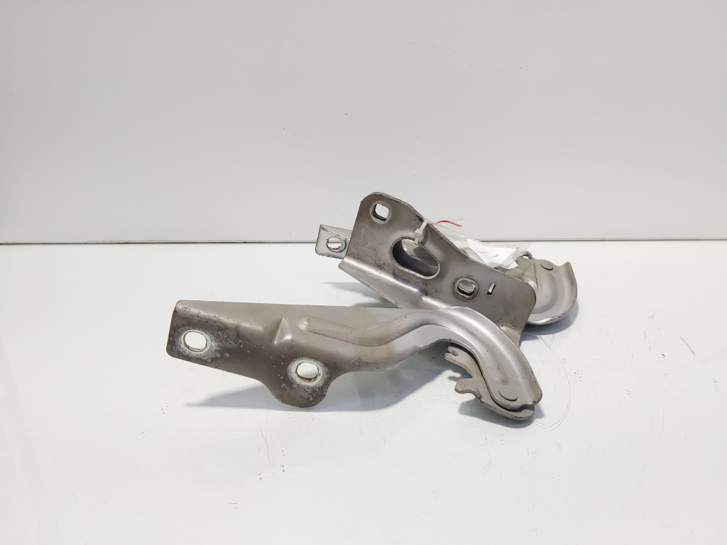 Set balamale capota fata, Seat Ibiza 5 (6J5) (id:680713)