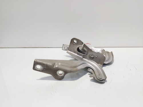 Set balamale capota fata, Seat Ibiza 5 (6J5) (id:680713)