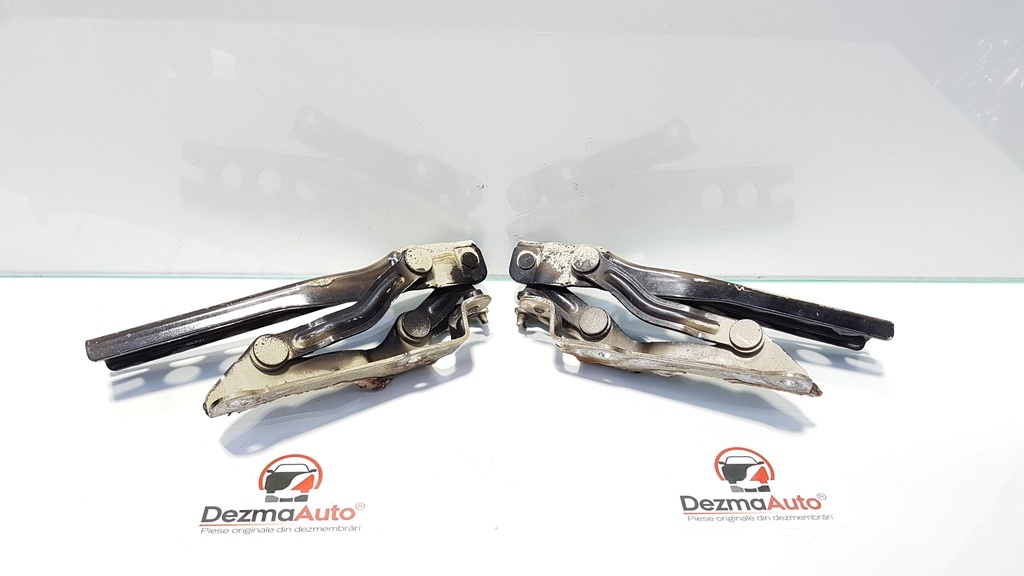 Set balamale capota fata, Skoda Octavia 2 (1Z3) (id:364777)