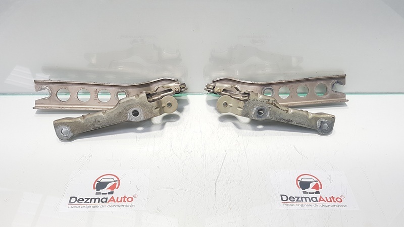 Set balamale capota fata, Skoda Octavia 2 (1Z3) (id:358584)