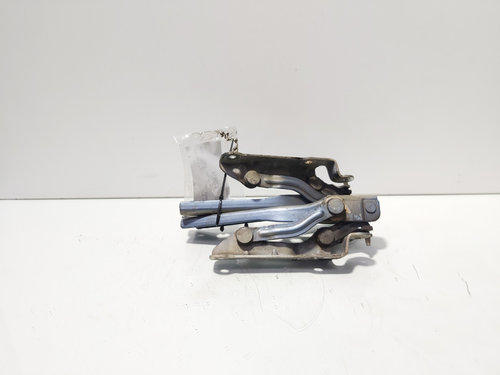 Set balamale capota fata, Skoda Octavia 2 Combi (1Z5) (id:675918)
