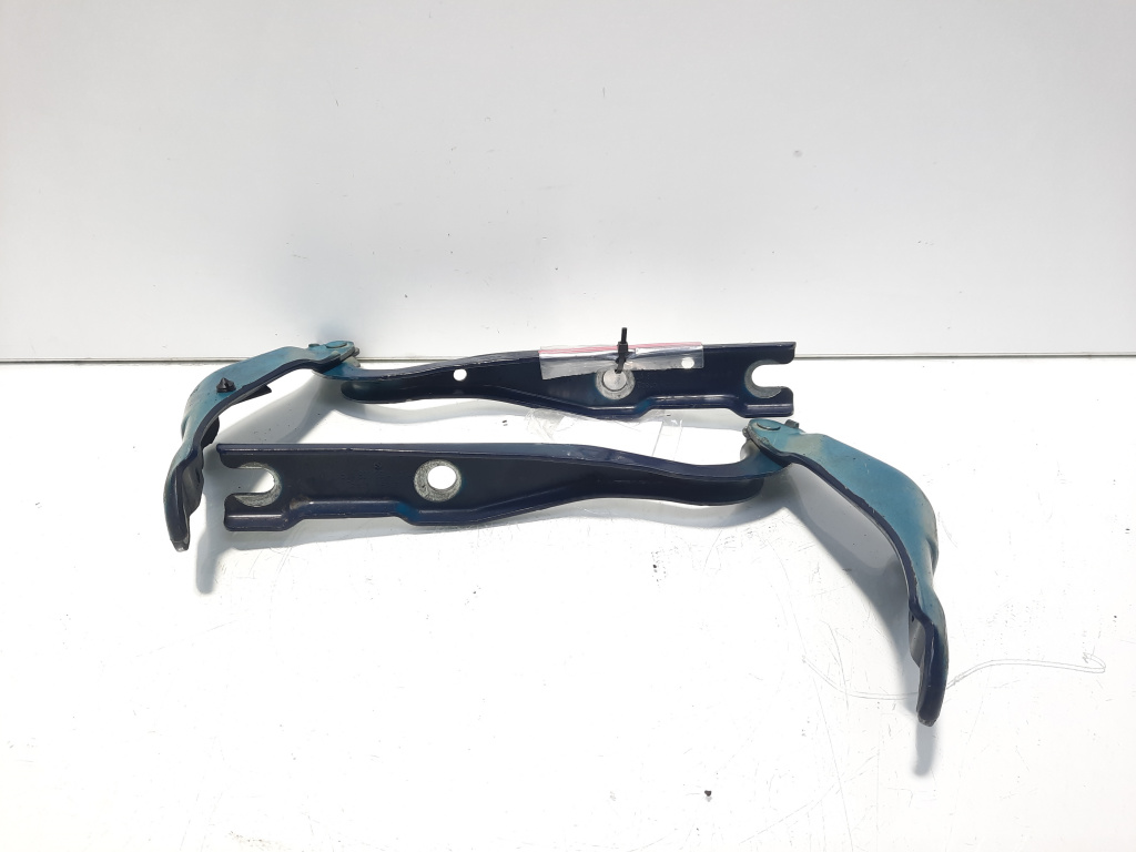 Set balamale capota fata, Skoda Rapid (NH3) (id:506011)