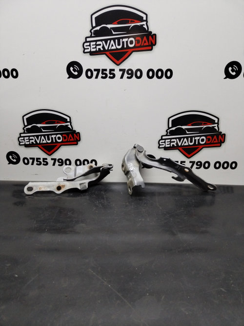 Set balamale capota fata Toyota Land Cruiser (2002-2010) 3.0 Motorina 2008, STANGA+DREAPTA