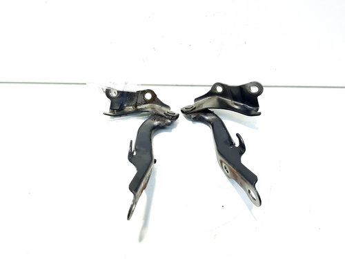 Set balamale capota fata, Toyota Rav 4 II (CLA2, XA2, ZCA2, ACA2) (id:529686)