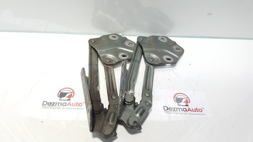 Set balamale capota fata, Vw Caddy 3 combi (2KJ)