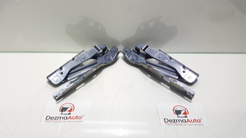 Set balamale capota fata, Vw Eos (1F7, 1F8) (id:349066)