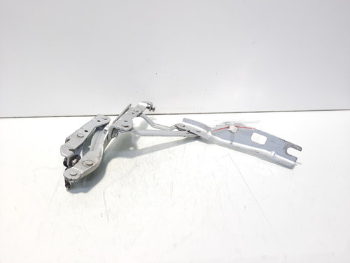 Set balamale capota fata, VW Eos (1F7, 1F8) (id:620412)