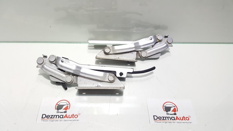 Set balamale capota fata, Vw Golf 5 (1K1) (id:140108)