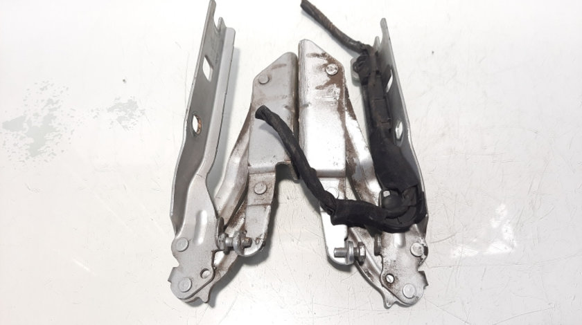 Set balamale capota fata, Vw Golf 5 Variant (1K5) (id:473460)