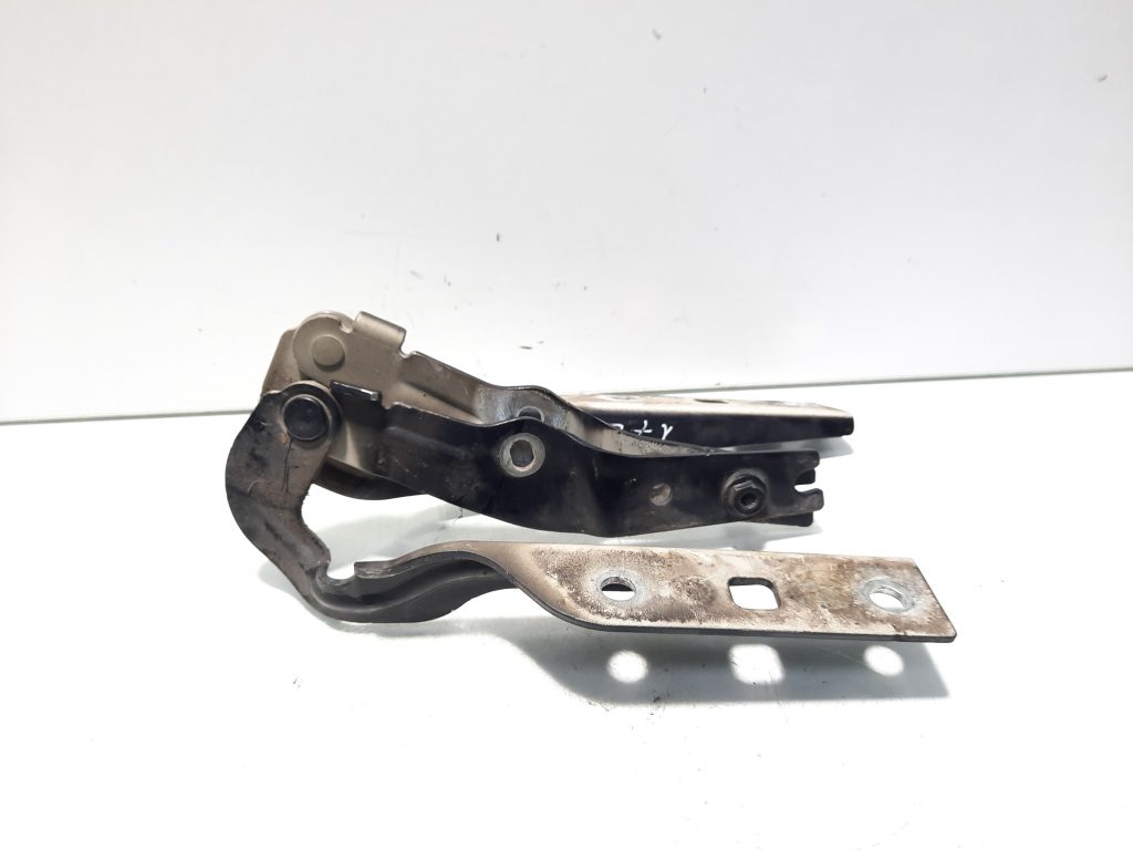 Set balamale capota fata, VW Golf 7 Alltrack (BA5, BV5) (idi:567705)