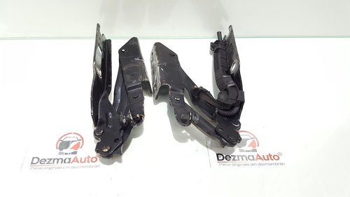 Set balamale capota fata, Vw Jetta 3 (1K2) (id:341492)