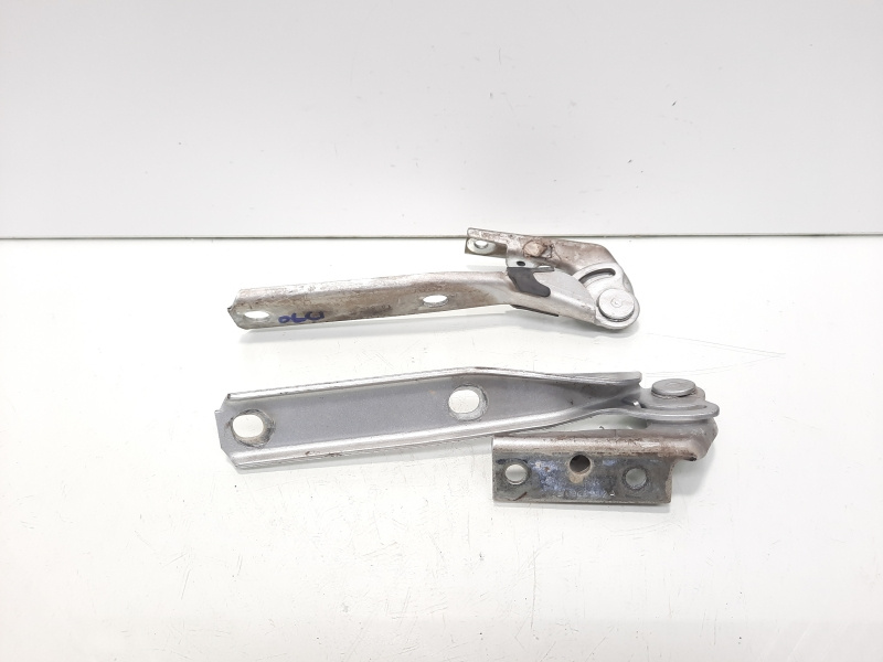 Set balamale capota fata, VW Passat (3B3) (id:610905)