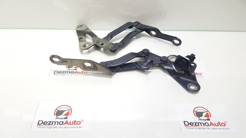 Set balamale capota fata, Vw Passat (3C2) (id:332258)