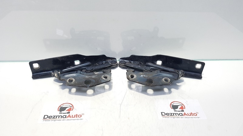 Set balamale capota fata, Vw Passat (3C2) (id:356185)