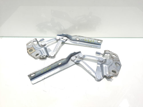 Set balamale capota fata, Vw Passat (3C2) (id:453211)