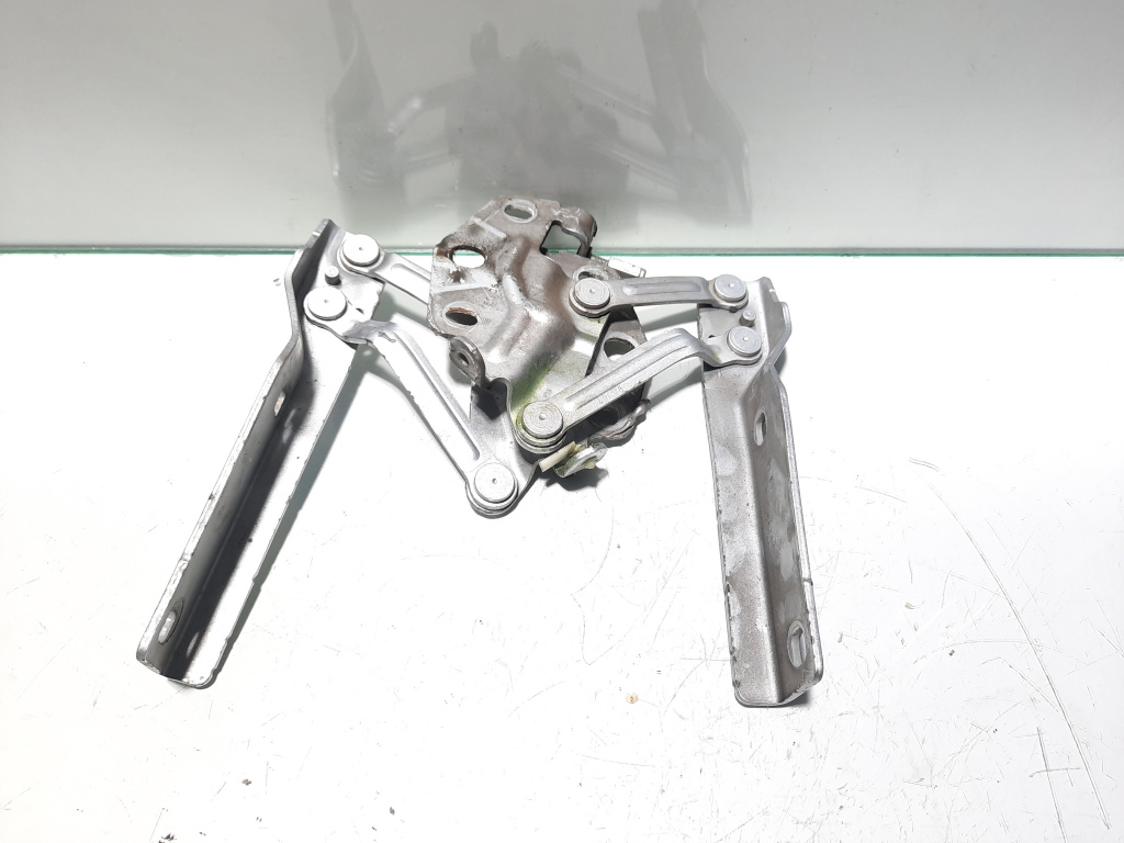 Set balamale capota fata, Vw Passat (3C2)
