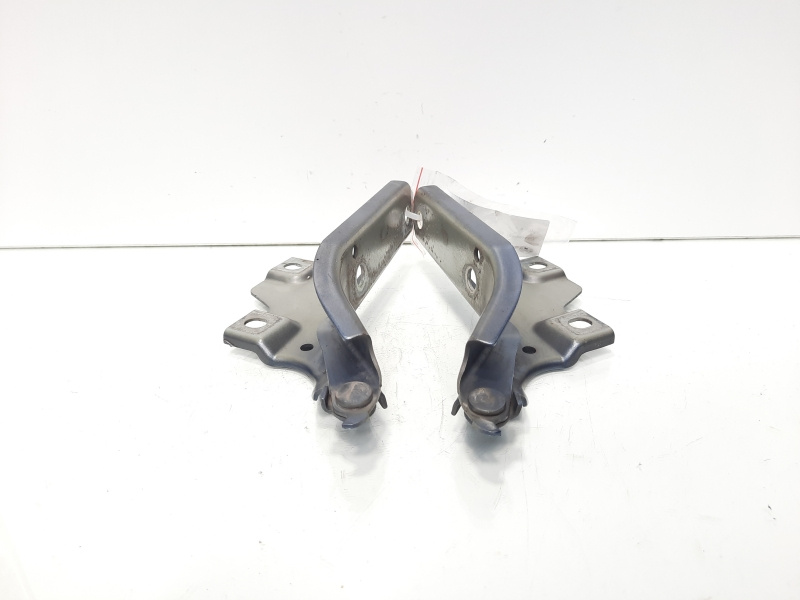 Set balamale capota fata, VW Passat Alltrack (3G5) (idi:611377)