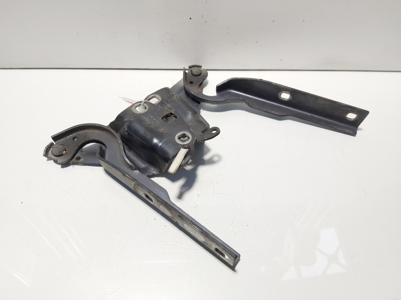 Set balamale capota fata, VW Passat CC (357) (id:634987)
