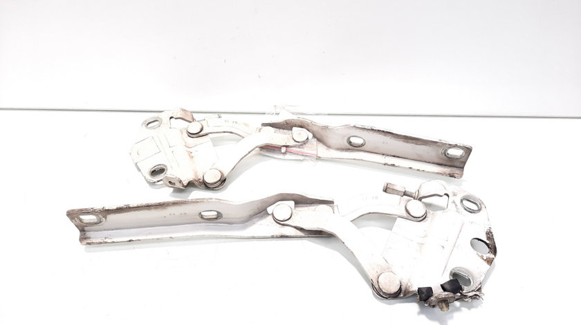 Set balamale capota fata, VW Passat Variant (365) (idi:521035)