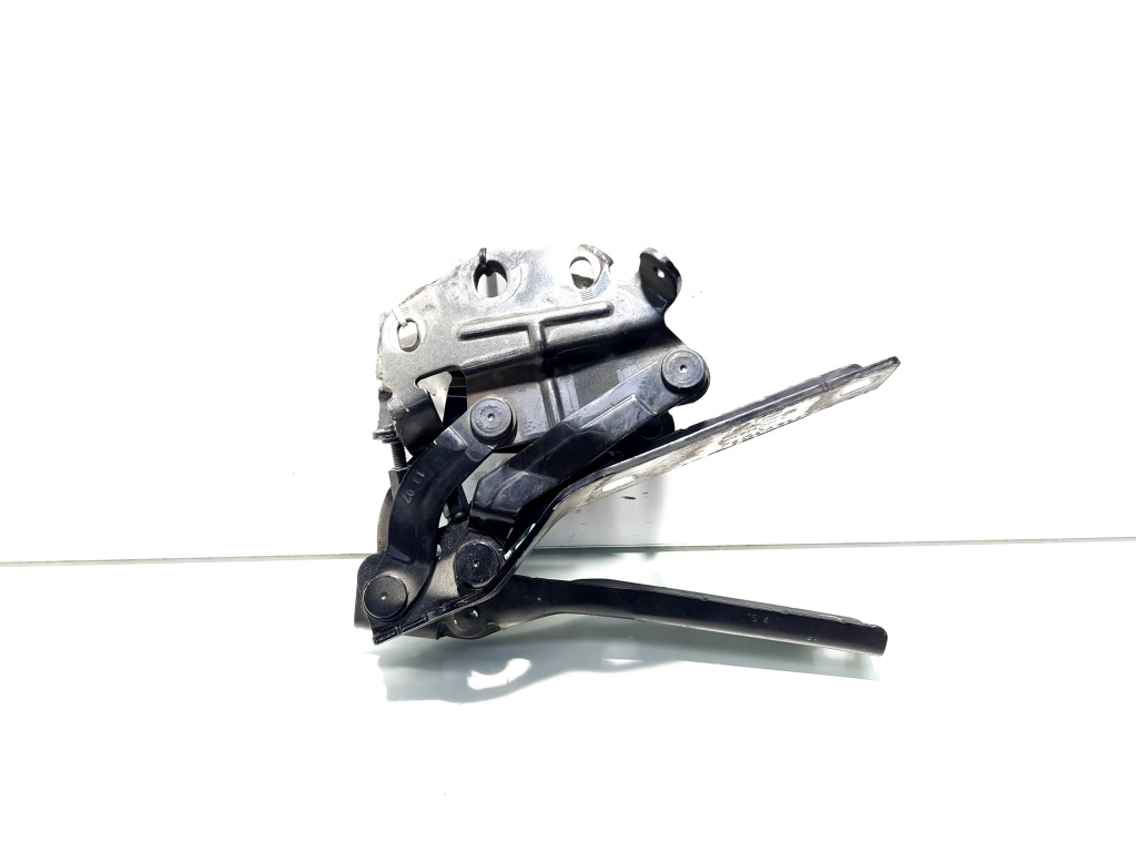 Set balamale capota fata, Vw Passat Variant (3C5) (id:542444)