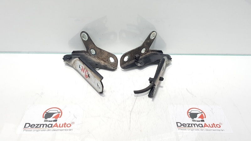 Set balamale capota fata, Vw Polo (9N) (id:358119)