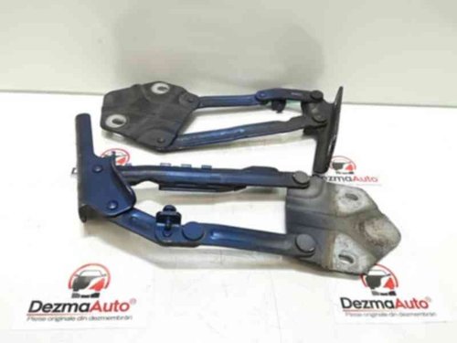 Set balamale capota fata, Vw Touran (1T1, 1T2) (id:332228)