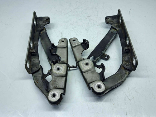 Set balamale capota Mercedes Clasa E (W211) [Fabr 2002-2009] 2118800428 / 2118800128