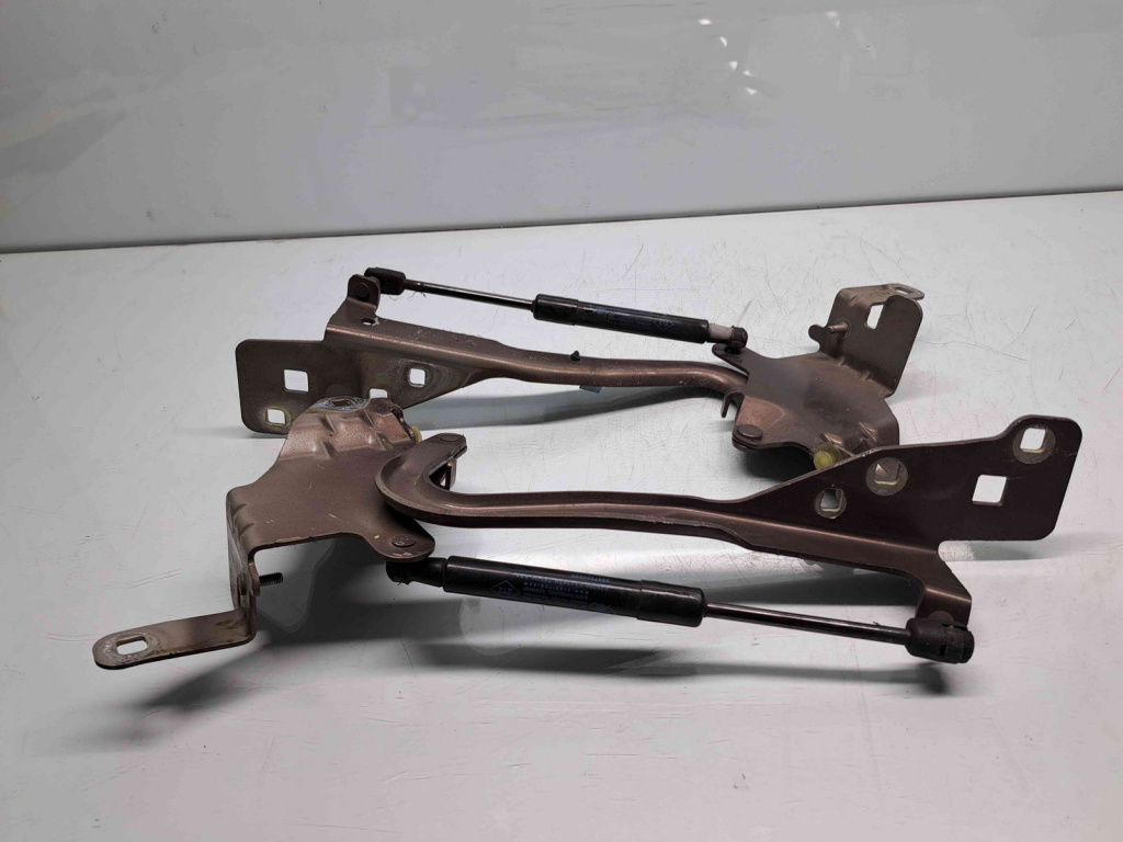 Set balamale capota Renault Scenic 3 [Fabr 2009-2015] 654010004R / 654000004R