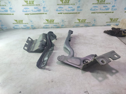 Set balamale capota Renault Talisman [2012 - 2020] 1.6 dci R9M 452