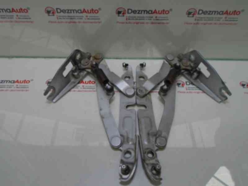 Set balamale capota spate, 1K5827302A, Vw Jetta 3 (1K2) (id:303627)