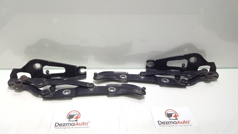 Set balamale capota spate, 7060328-07, Bmw 3 (E90) (227763)