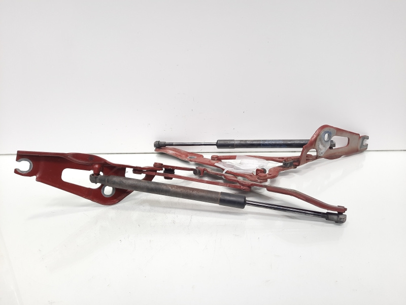 Set balamale capota spate, Bmw 1 Coupe (E82) (id:611255)