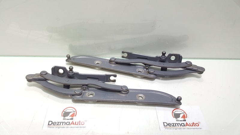 Set balamale capota spate, Bmw 3 (E46) (124447)