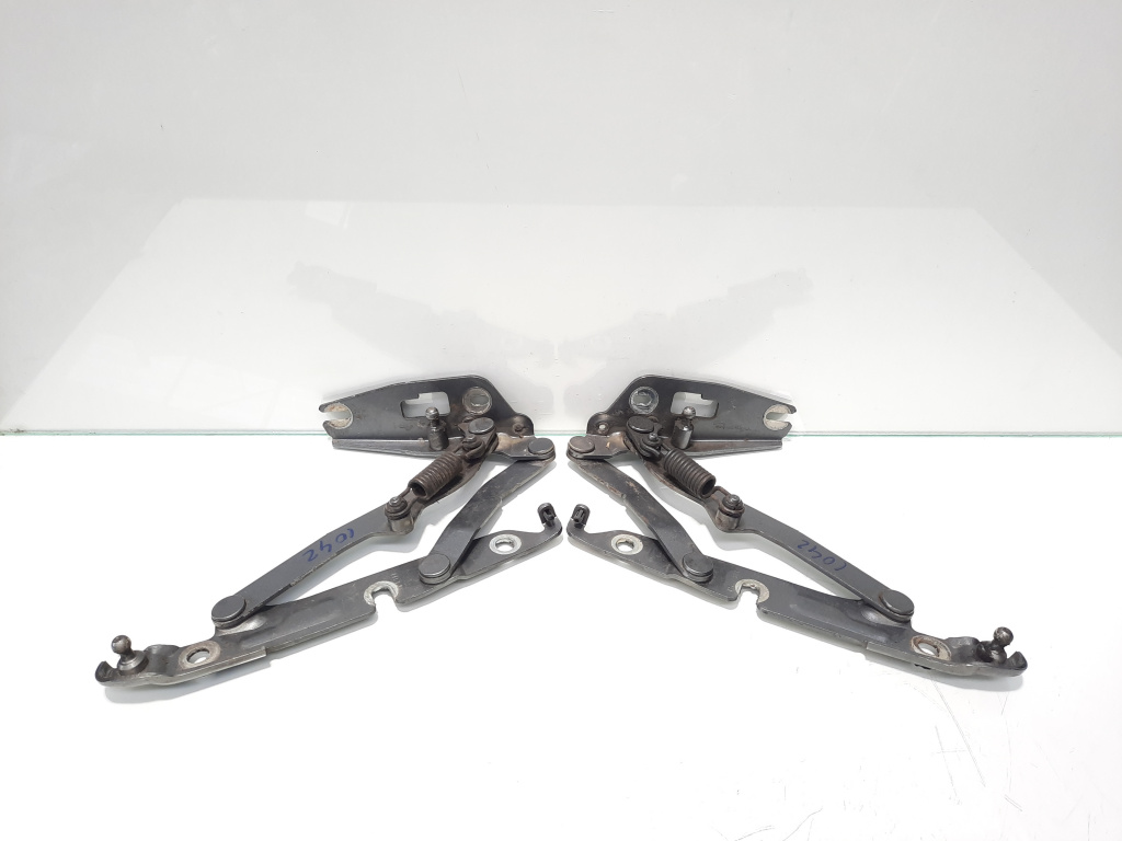 Set balamale capota spate, Vw Jetta 3 (1K2) (id:454189)