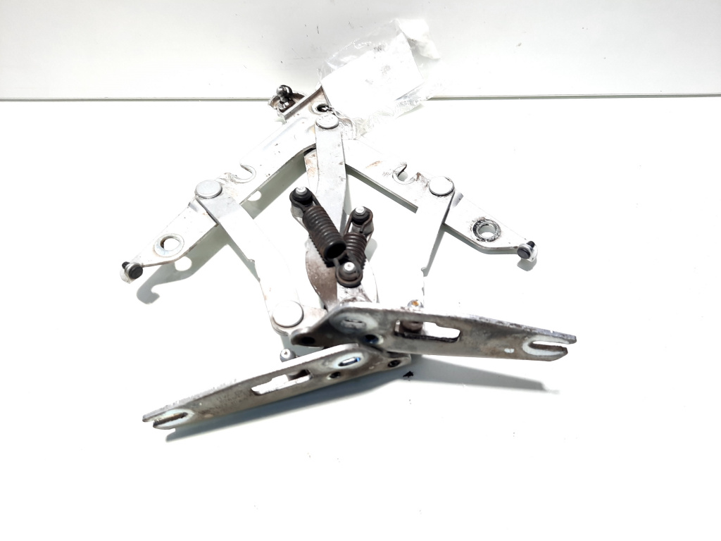 Set balamale capota spate, VW Jetta 3 (1K2) (id:511776)