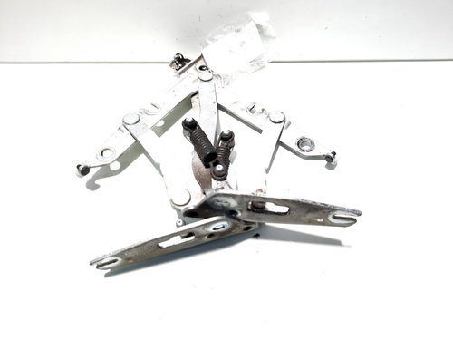 Set balamale capota spate, VW Jetta 3 (1K2) (id:511776)