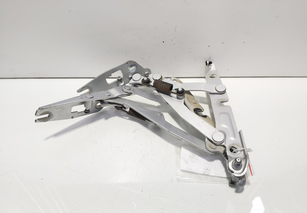 Set balamale capota spate, VW Jetta 3 (1K2) (id:637021)