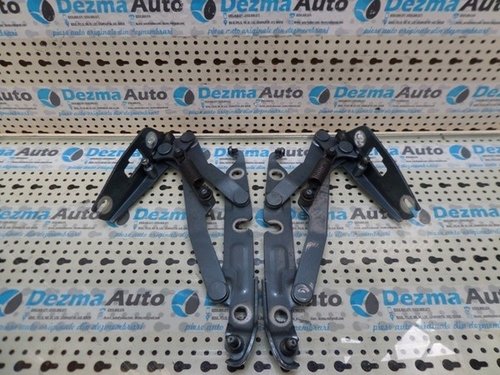 Set balamale capota spate Vw Jetta 3, 2005-2010