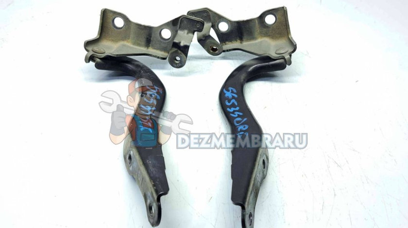 Set balamale capota SUBARU Outback IV (BM, BR) [Fabr 2009-2014] OEM