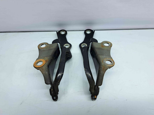Set balamale capota Toyota Rav 4 II (CLA2, XA2, ZCA2, ACA2) [Fabr 2000-2006] OEM