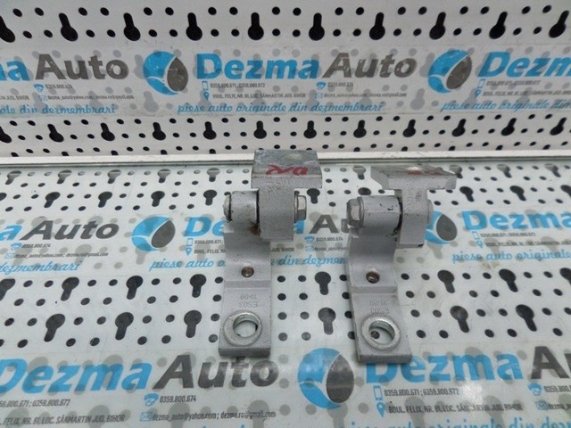 Set balamale dreapta fata, Fiat Doblo Cargo (263)