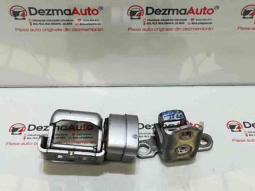 Set balamale dreapta fata, Renault Megane 2 (id:319120)