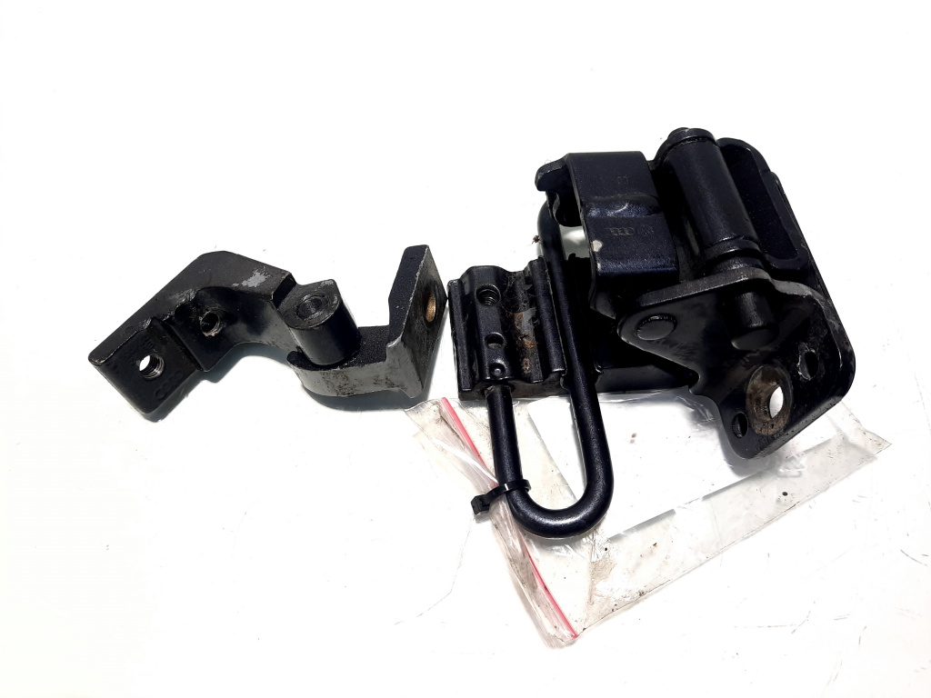 Set balamale dreapta spate, Audi A6 (4F2, C6) (id:515067)