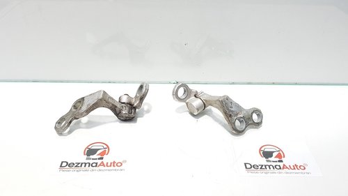 Set balamale dreapta spate, Ford C-Max 1