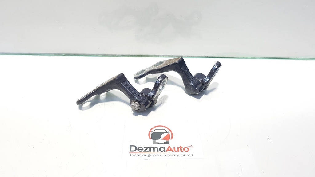 Set balamale dreapta spate, Ford Kuga, 8V41-16800-AD (id:395150)