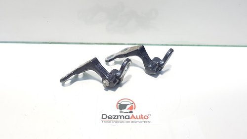 Set balamale dreapta spate, Ford Kuga, 8V41-16800-AD (id:395150)