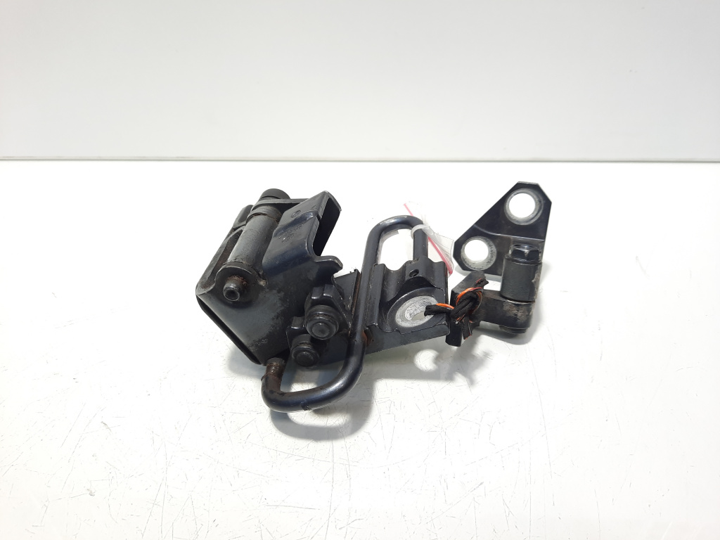Set balamale dreapta spate, Vw Passat CC (357) (id:501004)