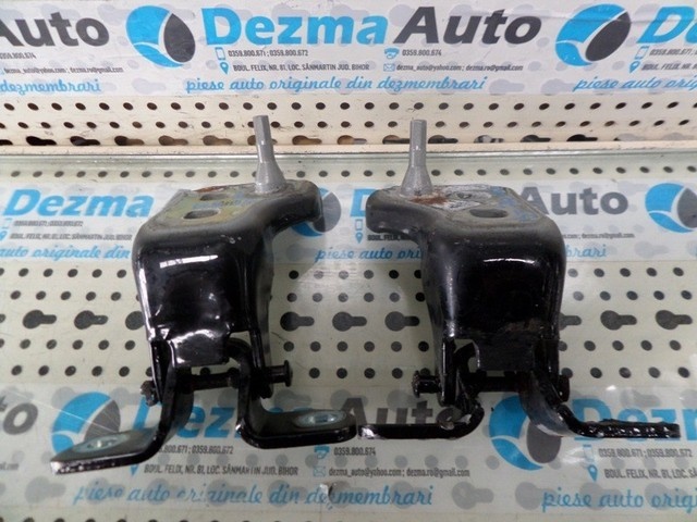 Set balamale stanga fata Ford Tourneo Connect﻿, 2002-In prezent